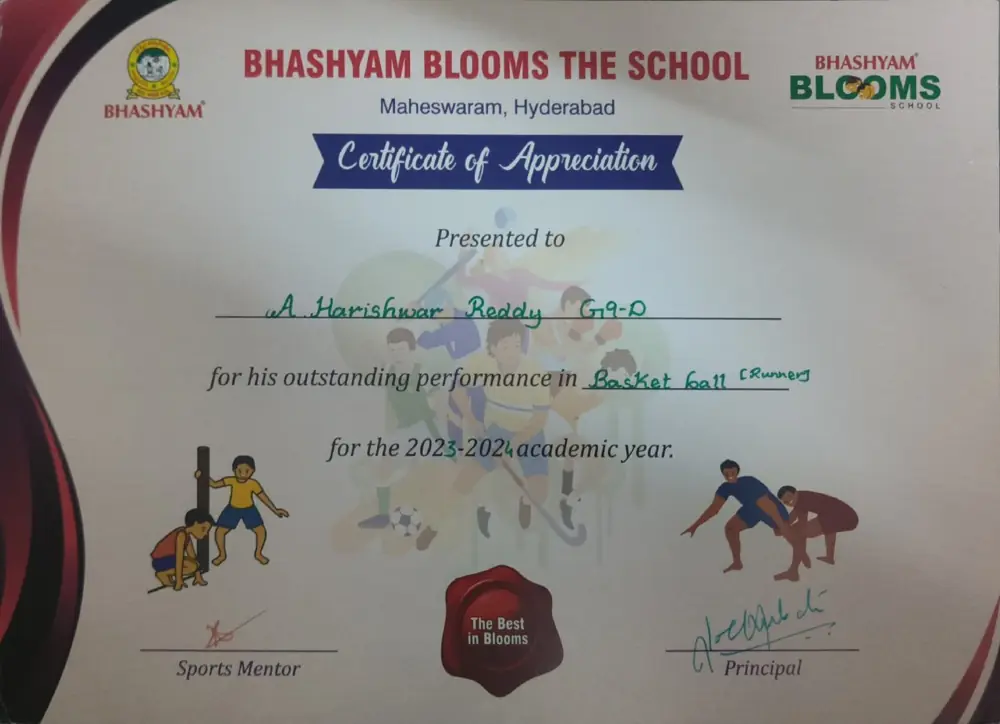 School basketball certificate